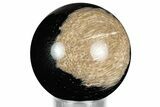 Polished Petrified Palm Wood Sphere - Indonesia #327422-1